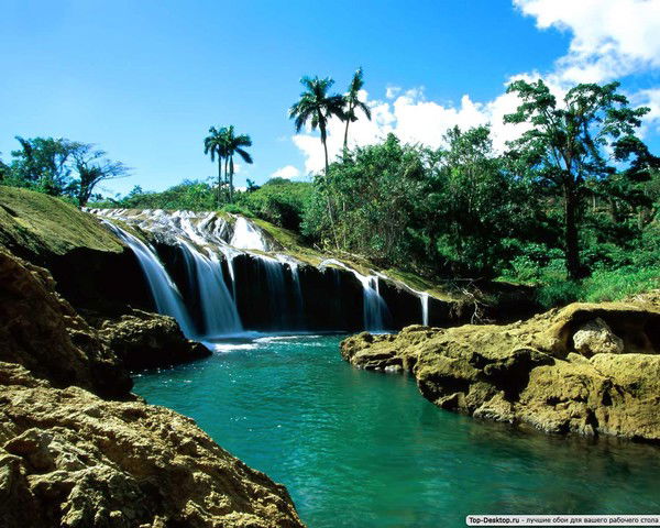 Елена Прыткова