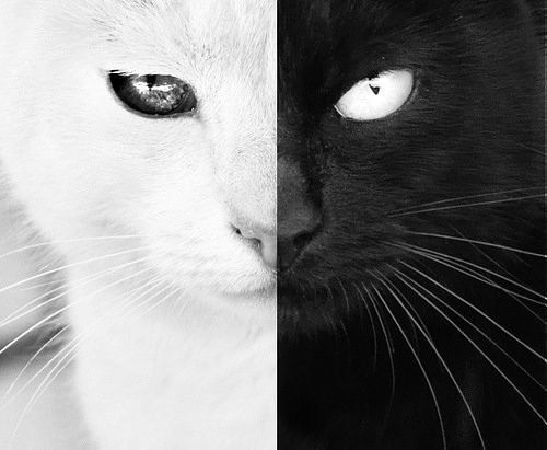 Анна Середа