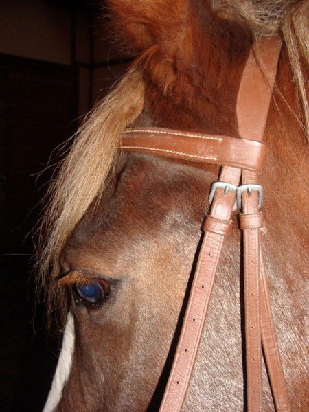 Владислава Черненко