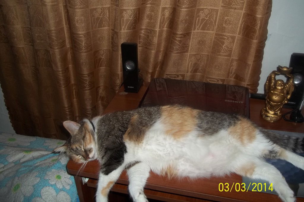 Татьяна Гарина