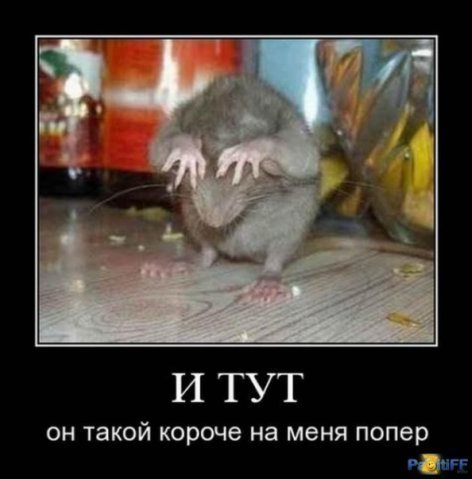 Сабина Абдуллаева