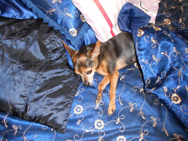 Андрей Владимирович