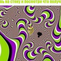 Настя Шебанец