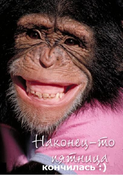 Ольга Миних