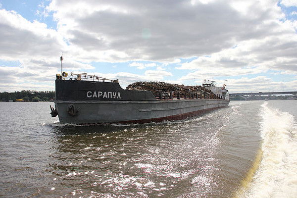 Николай Гоголев