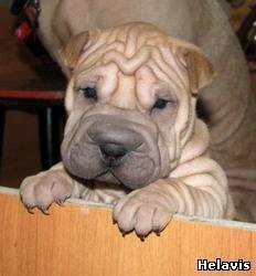 Глеб Кудрявцев