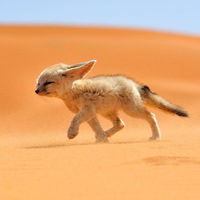 Полина Зиновьева