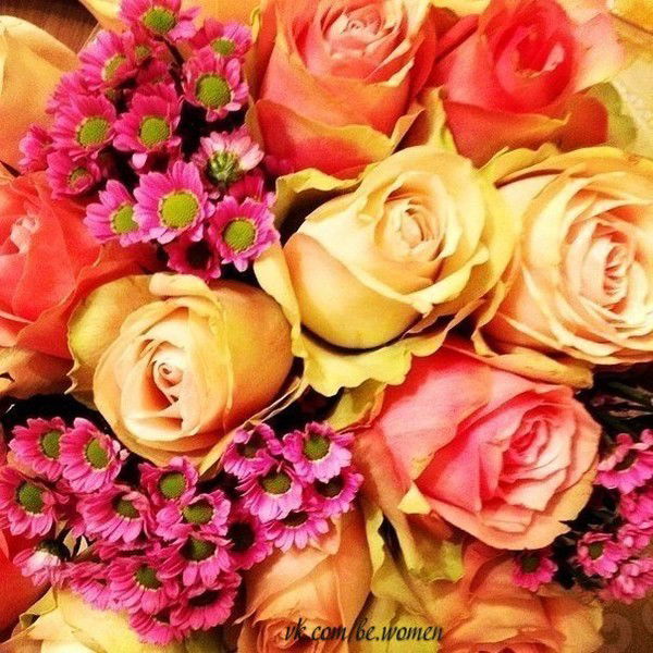 Абай Ат О/м Исатай