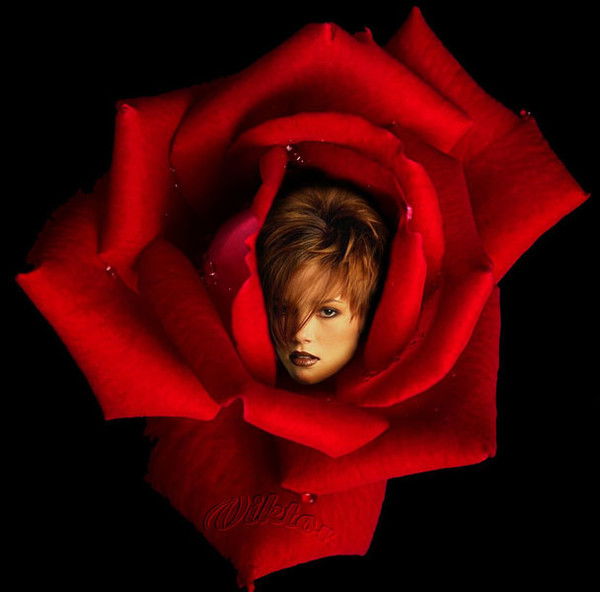 Елена Рыжова