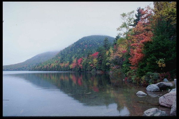 Адлет Сулейменов