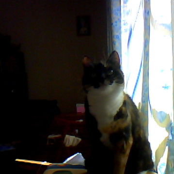 Кристина Суворова