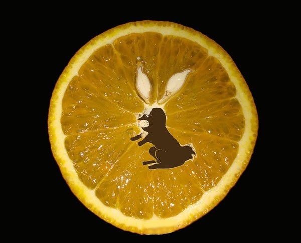 Юлия Бондаренко