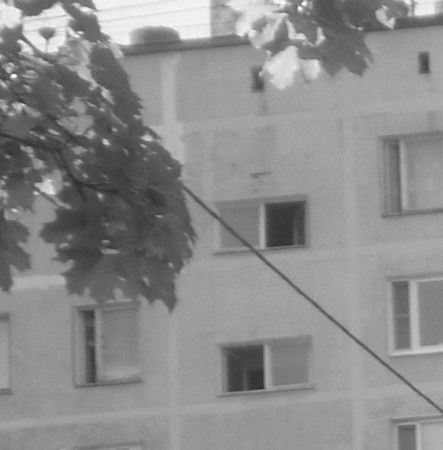 Наталья Викторова