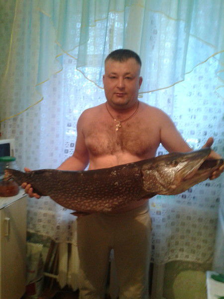 Денис Кривицкий