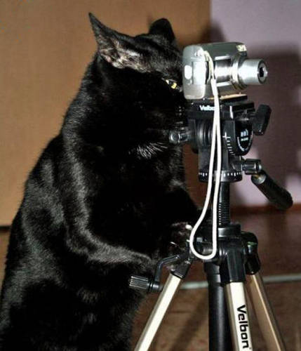 Филя Черный