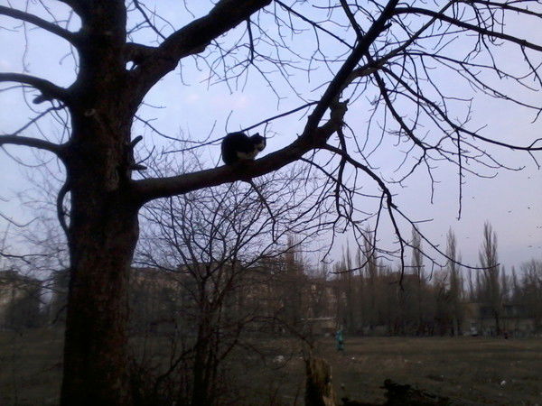 Валентина Крупицкая