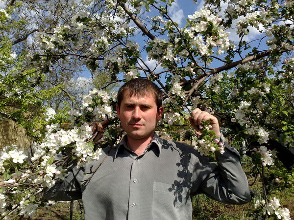 Александр Тараненко