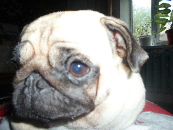 Валик Иванков