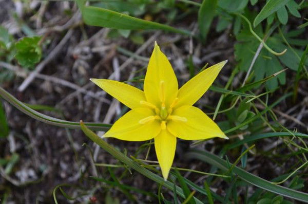 Асылбек Аюпов