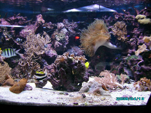 Анна Цынцарь