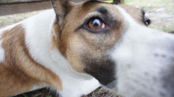 Александр Помазанов