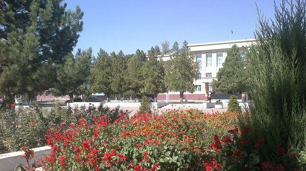 Шавкат Файзиев