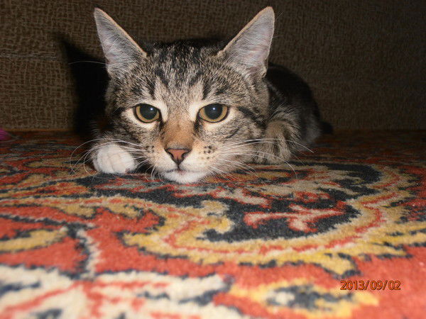 Екатерина Алексеева