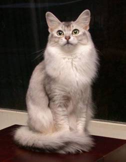 Виталия Юрина