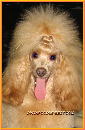 Марина Мацуто