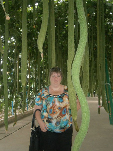 Светлана Козарь