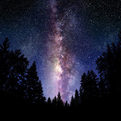 Сергей Быков