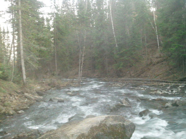 Николай Трошин