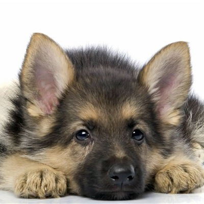 Ольга Алексеева