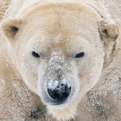 Анатолий Секамов