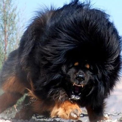 Сергей Белоглазов