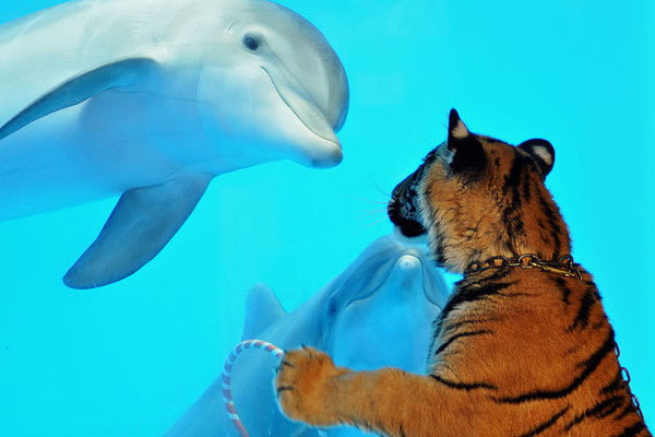 Сандугаш Тыныбекова