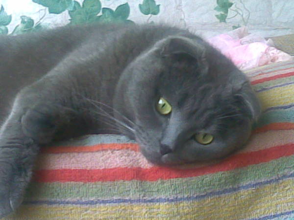 Варвара Зайнулина