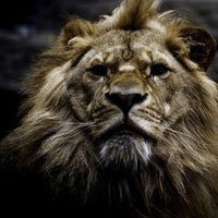 Карен Брутян