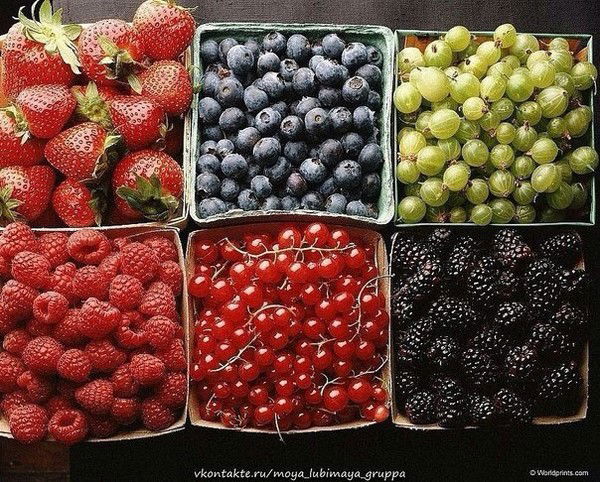 Анастасия Терещенко