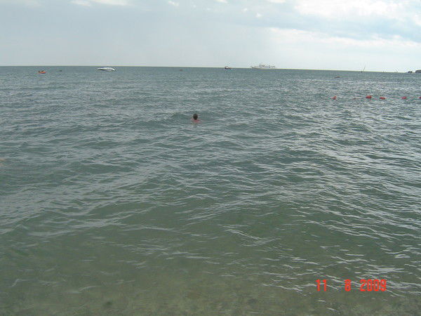 Михаил Ряженов