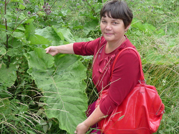 Надежда Кораблёва (Лалетина)