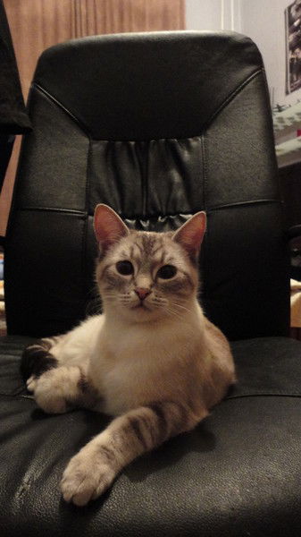 Ирина Теперик