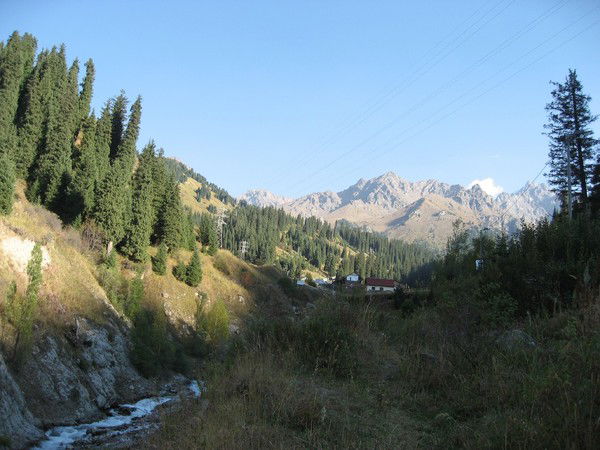 Айгуль Сатканова