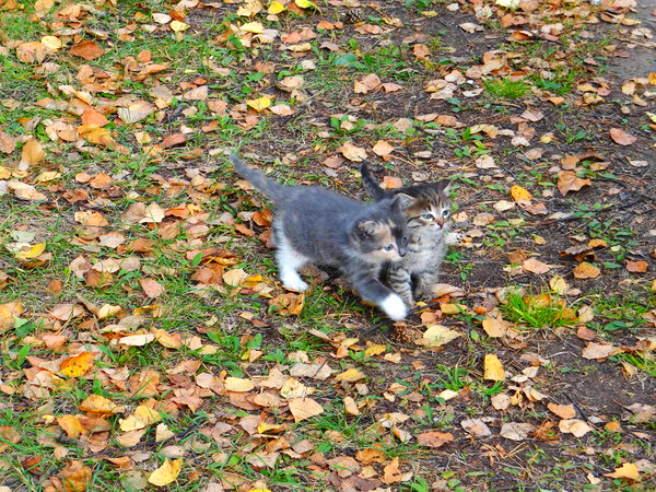 Людмила Васильева