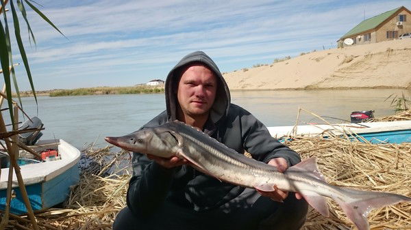 Сергей Баев