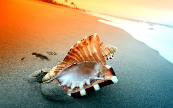 Наталья Пылаева