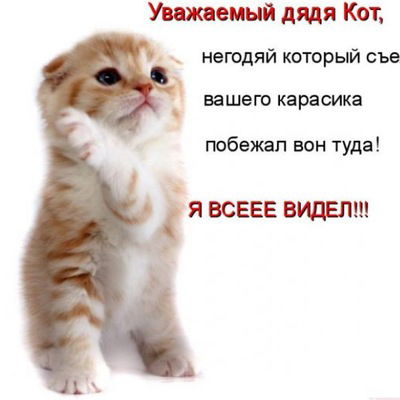 София Зырянова