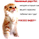 София Зырянова