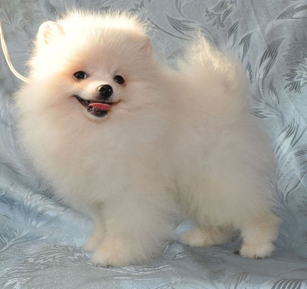 Лена Матвеева