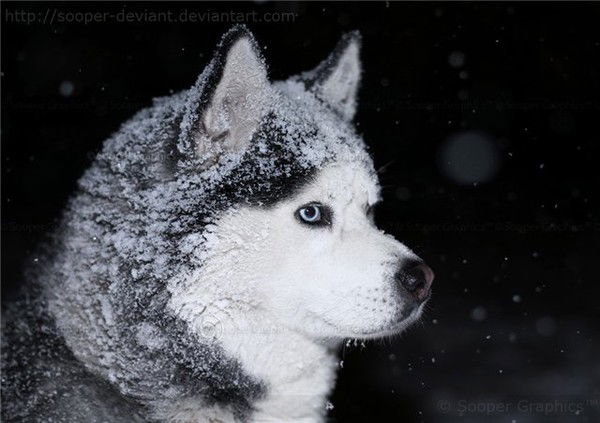 Александра ))))